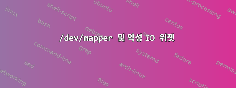 /dev/mapper 및 악성 IO 위젯