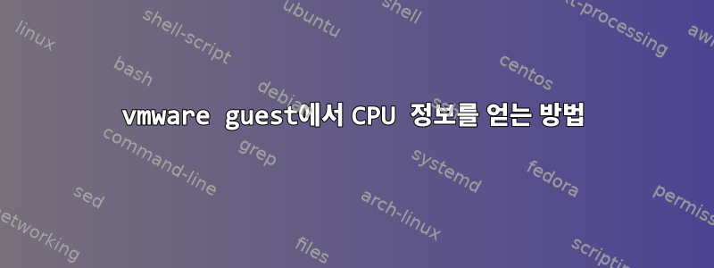 vmware guest에서 CPU 정보를 얻는 방법