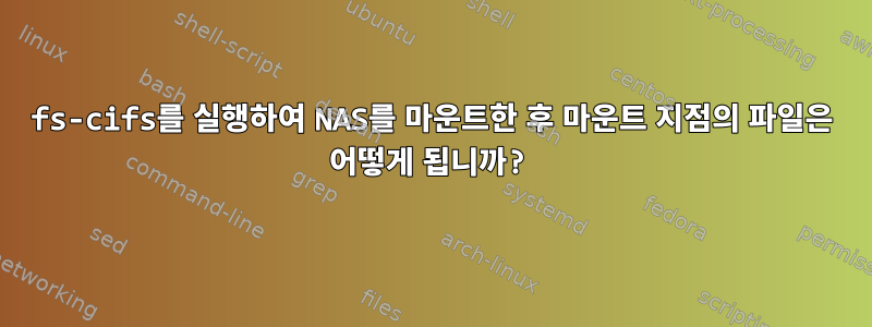 fs-cifs를 실행하여 NAS를 마운트한 후 마운트 지점의 파일은 어떻게 됩니까?