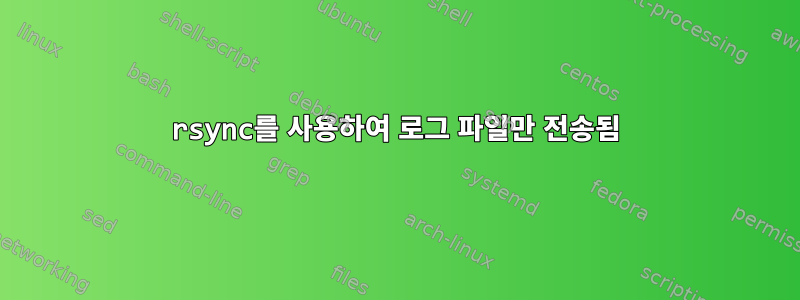 rsync를 사용하여 로그 파일만 전송됨