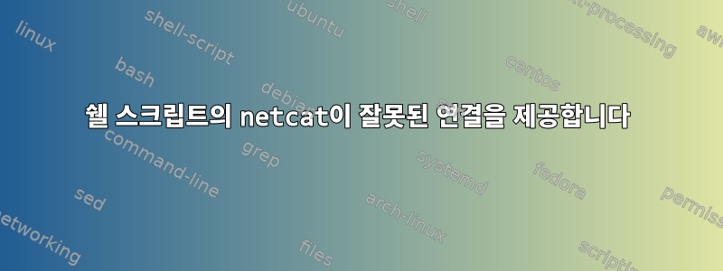 쉘 스크립트의 netcat이 잘못된 연결을 제공합니다