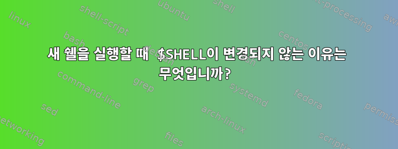 새 쉘을 실행할 때 $SHELL이 변경되지 않는 이유는 무엇입니까?