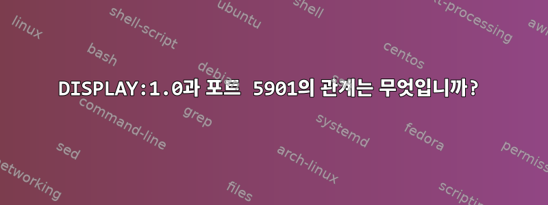 DISPLAY:1.0과 포트 5901의 관계는 무엇입니까?