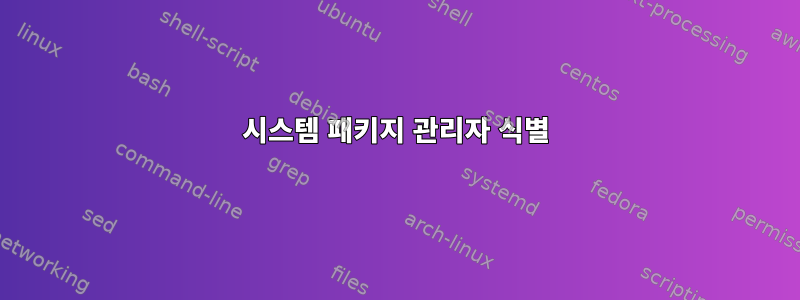 시스템 패키지 관리자 식별