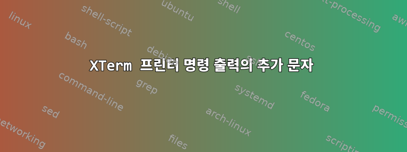 XTerm 프린터 명령 출력의 추가 문자