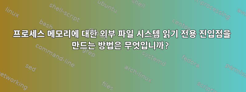 프로세스 메모리에 대한 외부 파일 시스템 읽기 전용 진입점을 만드는 방법은 무엇입니까?