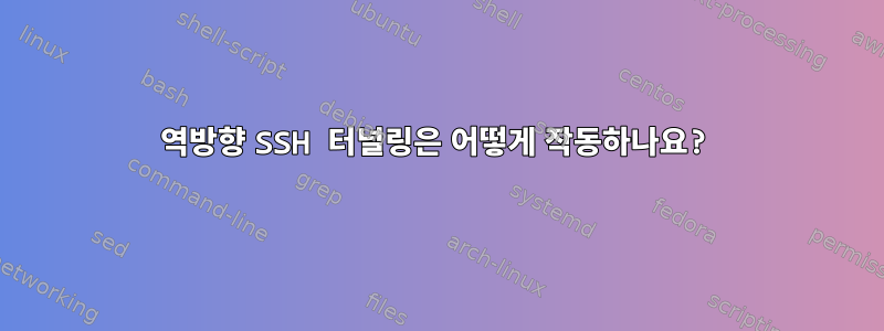 역방향 SSH 터널링은 어떻게 작동하나요?