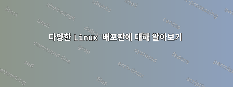 다양한 Linux 배포판에 대해 알아보기