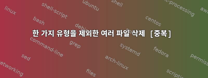 한 가지 유형을 제외한 여러 파일 삭제 [중복]