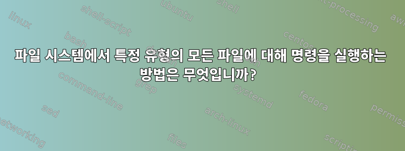 파일 시스템에서 특정 유형의 모든 파일에 대해 명령을 실행하는 방법은 무엇입니까?