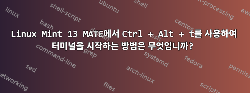 Linux Mint 13 MATE에서 Ctrl + Alt + t를 사용하여 터미널을 시작하는 방법은 무엇입니까?