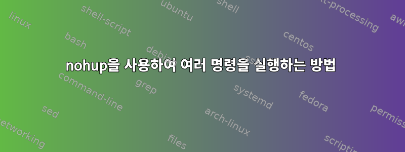 nohup을 사용하여 여러 명령을 실행하는 방법