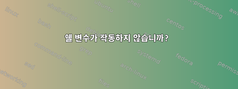 쉘 변수가 작동하지 않습니까?