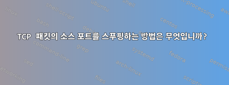 TCP 패킷의 소스 포트를 스푸핑하는 방법은 무엇입니까?