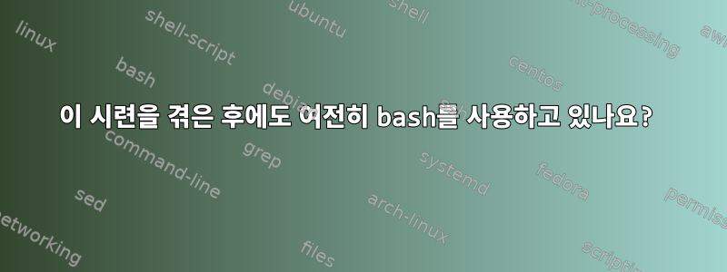 이 시련을 겪은 후에도 여전히 bash를 사용하고 있나요?