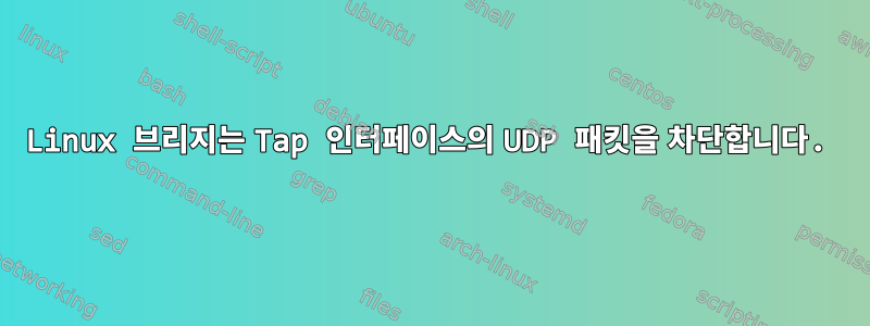 Linux 브리지는 Tap 인터페이스의 UDP 패킷을 차단합니다.