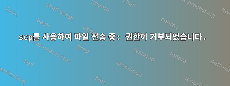 scp를 사용하여 파일 전송 중: 권한이 거부되었습니다.