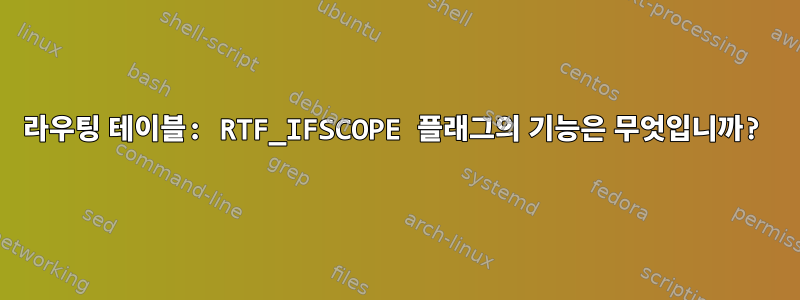 라우팅 테이블: RTF_IFSCOPE 플래그의 기능은 무엇입니까?