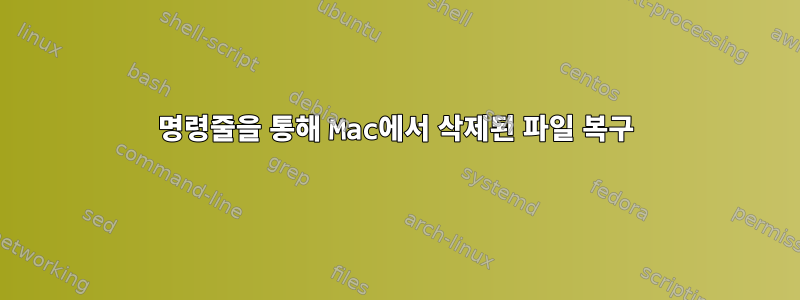 명령줄을 통해 Mac에서 삭제된 파일 복구