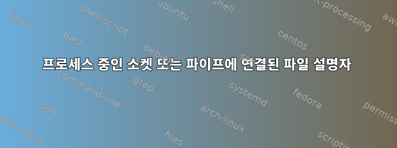 프로세스 중인 소켓 또는 파이프에 연결된 파일 설명자