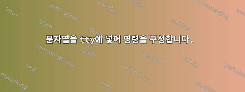 문자열을 tty에 넣어 명령을 구성합니다.