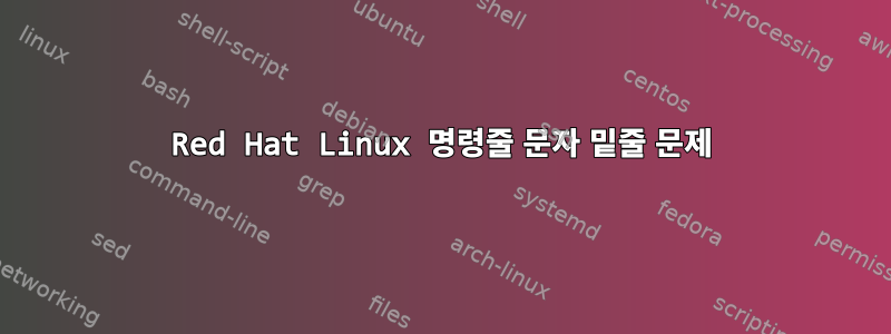 Red Hat Linux 명령줄 문자 밑줄 문제