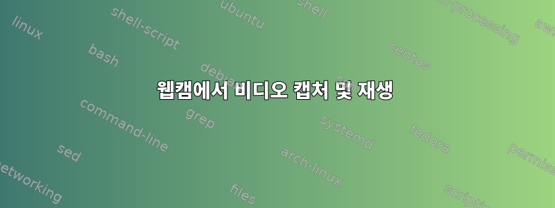 웹캠에서 비디오 캡처 및 재생