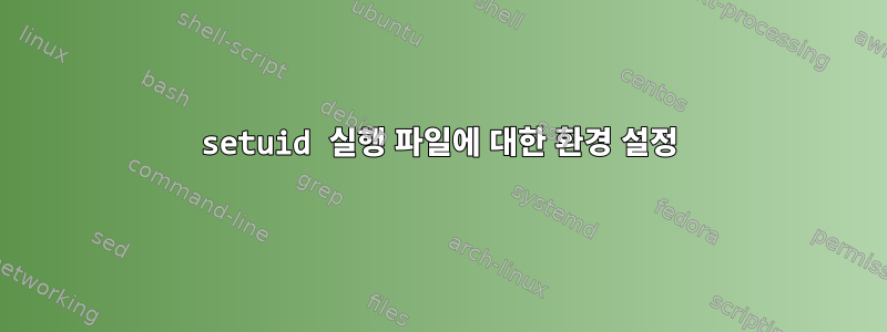 setuid 실행 파일에 대한 환경 설정