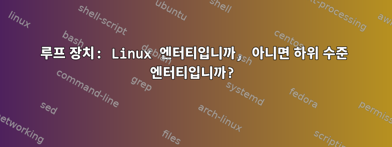 루프 장치: Linux 엔터티입니까, 아니면 하위 수준 엔터티입니까?