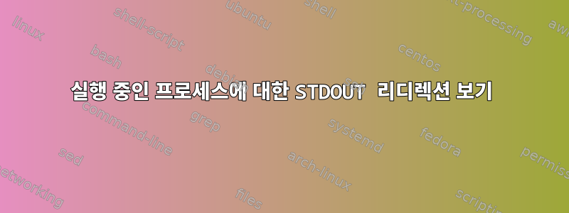 실행 중인 프로세스에 대한 STDOUT 리디렉션 보기