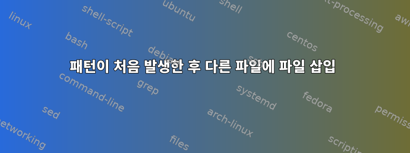 패턴이 처음 발생한 후 다른 파일에 파일 삽입