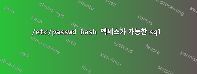 /etc/passwd bash 액세스가 가능한 sql