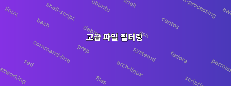 고급 파일 필터링