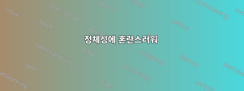 정체성에 혼란스러워