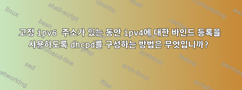 고정 ipv6 주소가 있는 동안 ipv4에 대한 바인드 등록을 사용하도록 dhcpd를 구성하는 방법은 무엇입니까?