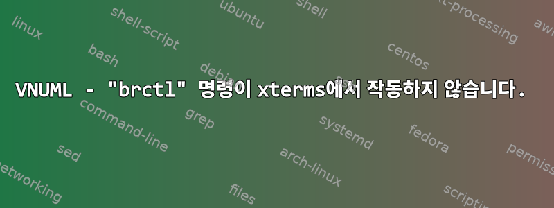 VNUML - "brctl" 명령이 xterms에서 작동하지 않습니다.