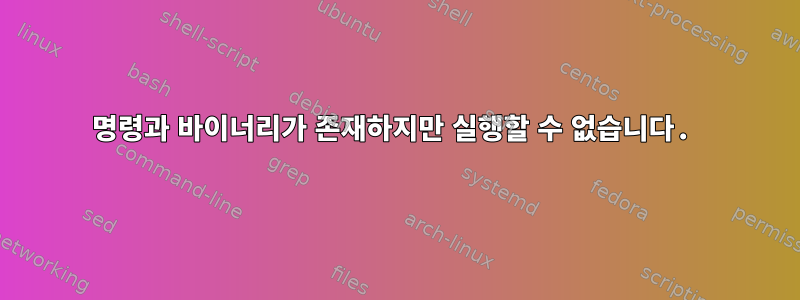 명령과 바이너리가 존재하지만 실행할 수 없습니다.