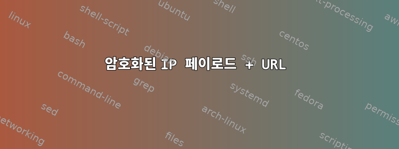 암호화된 IP 페이로드 + URL