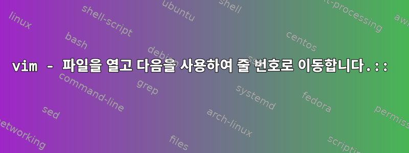 vim - 파일을 열고 다음을 사용하여 줄 번호로 이동합니다.::