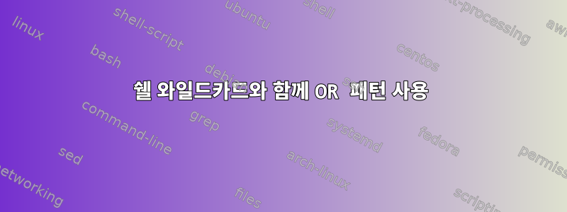 쉘 와일드카드와 함께 OR 패턴 사용