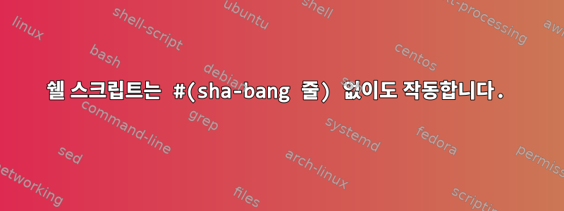 쉘 스크립트는 #(sha-bang 줄) 없이도 작동합니다.