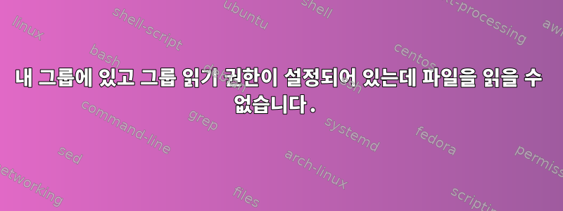 내 그룹에 있고 그룹 읽기 권한이 설정되어 있는데 파일을 읽을 수 없습니다.