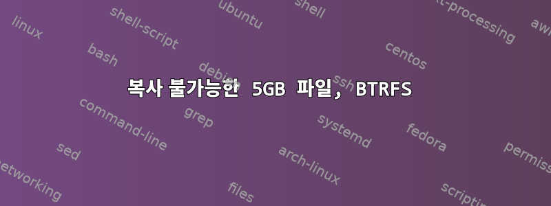 복사 불가능한 5GB 파일, BTRFS