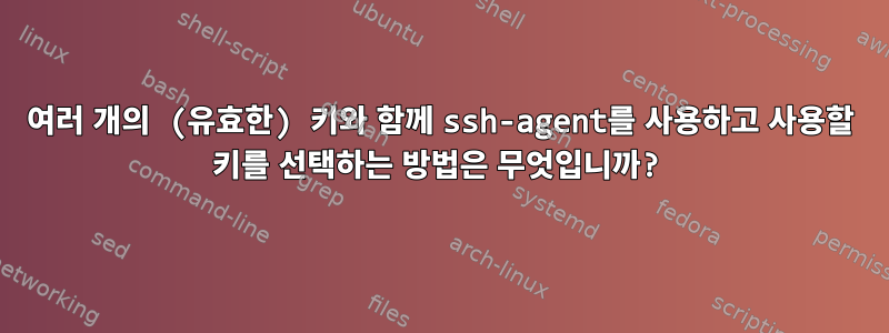 여러 개의 (유효한) 키와 함께 ssh-agent를 사용하고 사용할 키를 선택하는 방법은 무엇입니까?