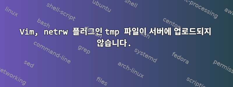 Vim, netrw 플러그인 tmp 파일이 서버에 업로드되지 않습니다.