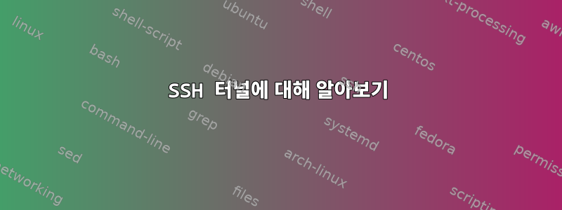 SSH 터널에 대해 알아보기