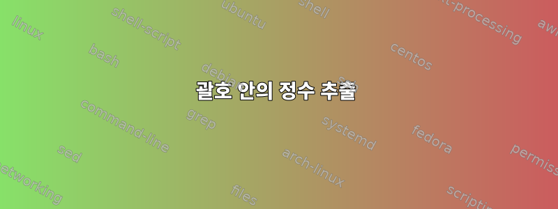 괄호 안의 정수 추출