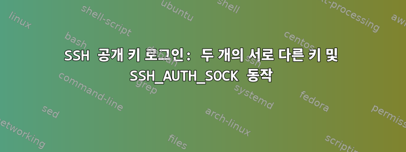 SSH 공개 키 로그인: 두 개의 서로 다른 키 및 SSH_AUTH_SOCK 동작