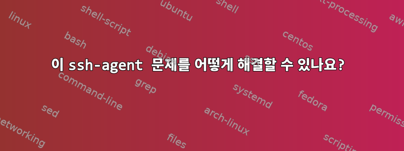 이 ssh-agent 문제를 어떻게 해결할 수 있나요?