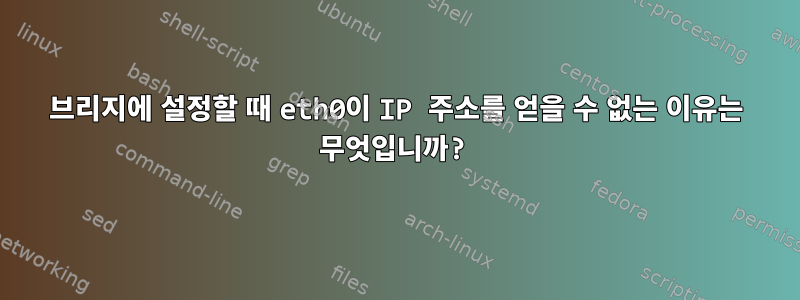 브리지에 설정할 때 eth0이 IP 주소를 얻을 수 없는 이유는 무엇입니까?